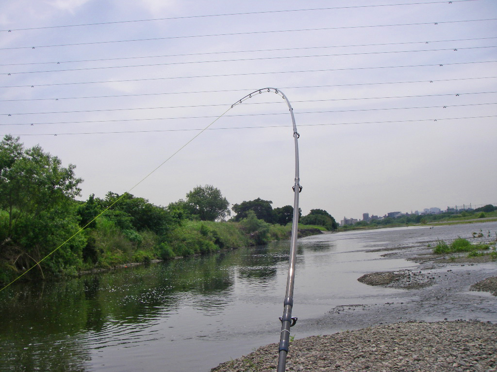 a0130057_2132495.jpg