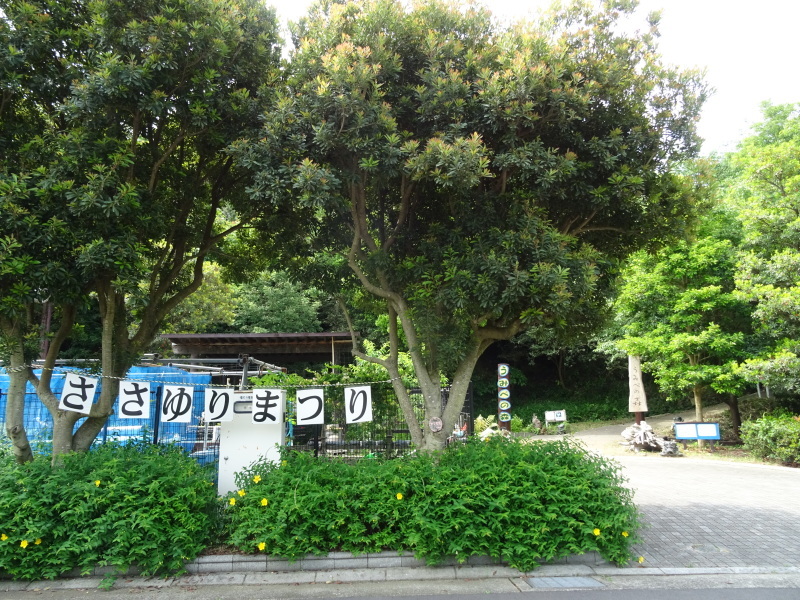 草刈り & 屋根張り作業 in うみべの森_c0108460_23260061.jpg