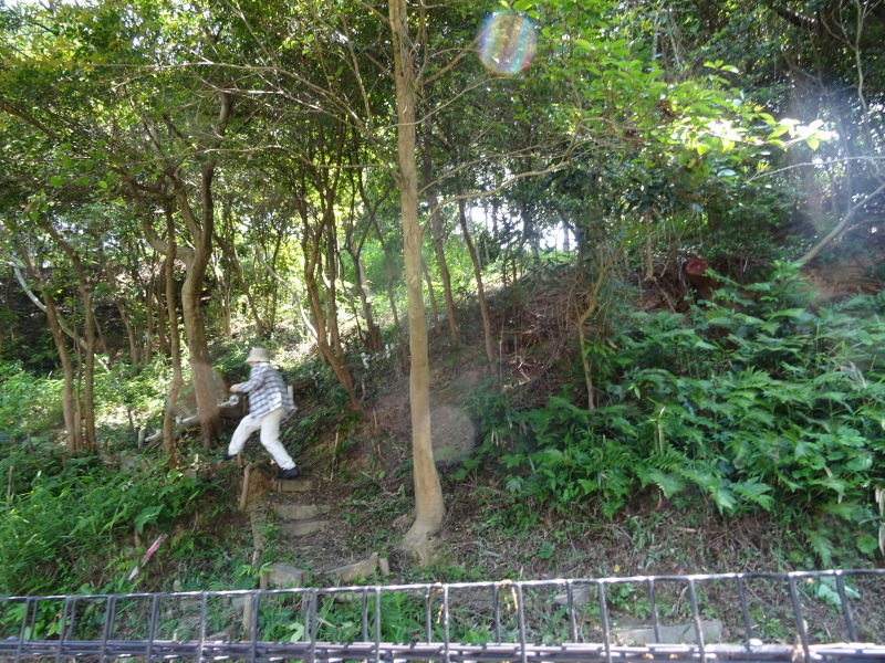 草刈り & 屋根張り作業 in うみべの森_c0108460_23403908.jpg