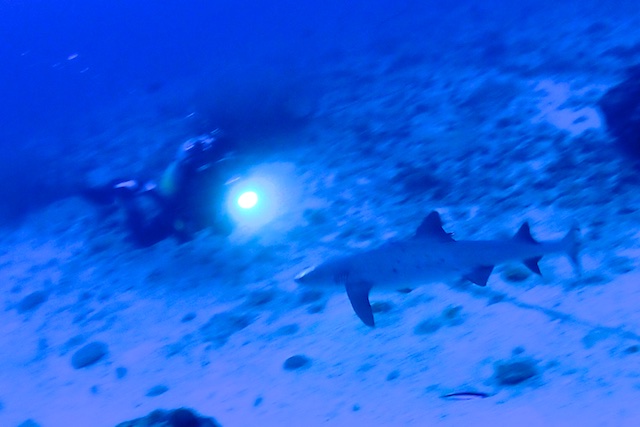 b0062363_1685353.jpg