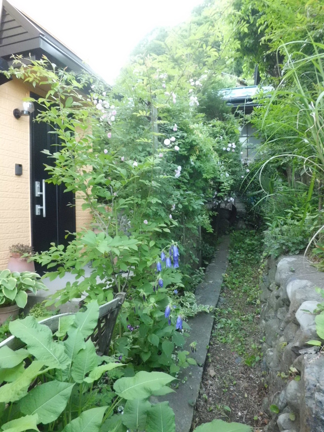 d0233866_8592570.jpg