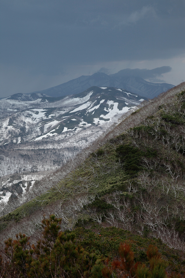 武佐岳【 山頂からの眺望は雷雲がぁ…の巻　下山編 】_f0054366_21000692.jpg