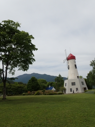 f0350468_16194244.jpg