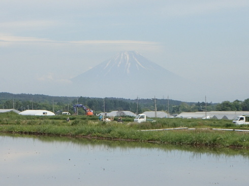 f0350468_16311026.jpg