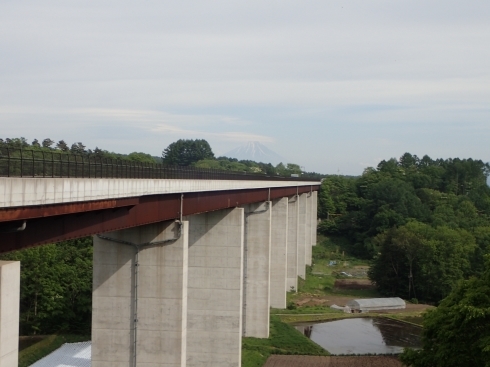f0350468_16313840.jpg