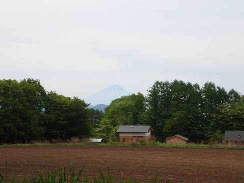 f0350468_17450455.jpg