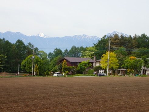 f0350468_17462448.jpg