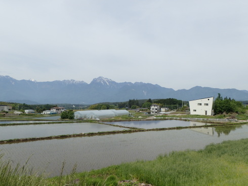 f0350468_17500836.jpg