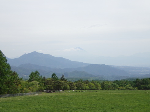 f0350468_19290322.jpg