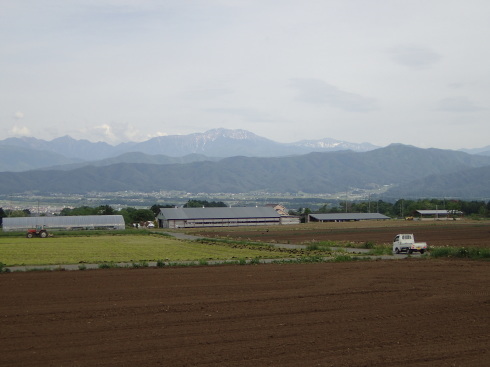 f0350468_19343821.jpg