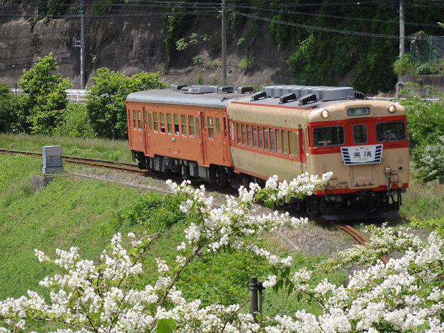 千葉 久留里城 ～ 太東崎灯台 房総ツーリング （5/23）_b0006870_18141561.jpg