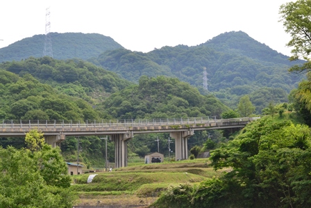 d0163073_193149.jpg