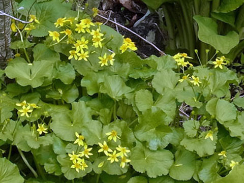 f0083977_21413516.jpg
