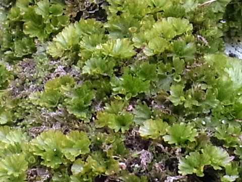 f0083977_21535370.jpg