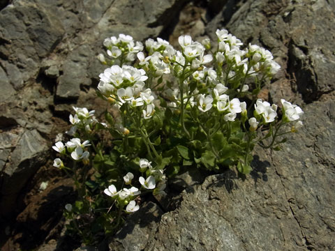 f0083977_21553717.jpg