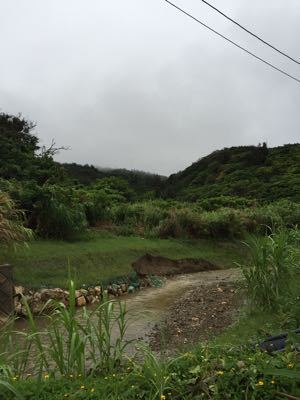 b0176278_23342991.jpg