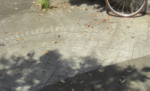 c0095679_1905942.gif