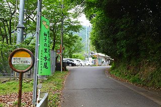 Where Have All The Flowers Gone？ 愛宕山_f0073587_83612100.jpg