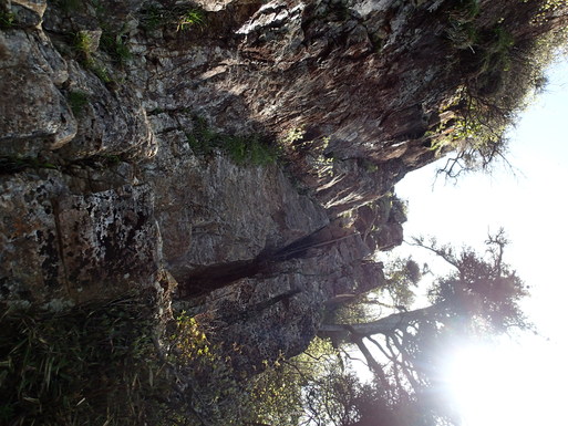 d0326888_0164194.jpg