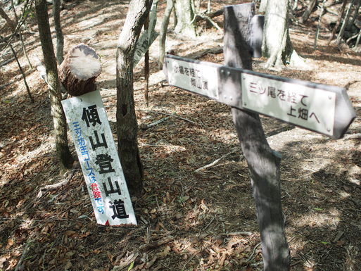 d0326888_0184534.jpg