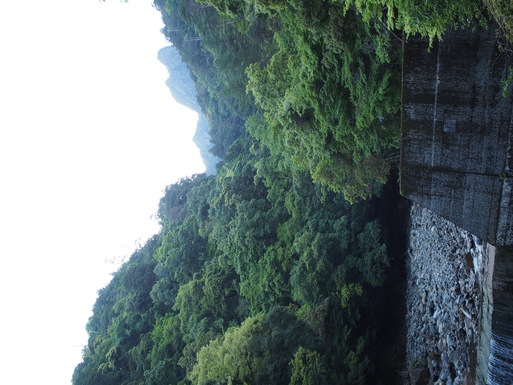 d0326888_0212824.jpg