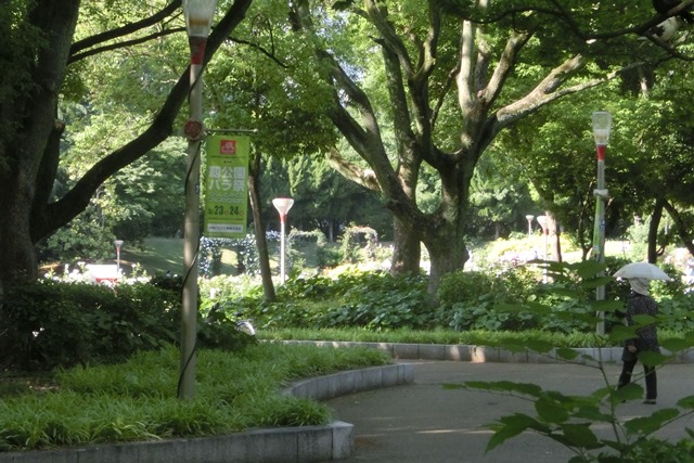 d0181492_9201677.jpg