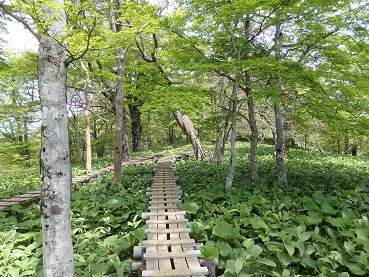 b0061798_2274677.jpg