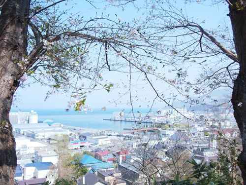 f0003598_1931198.jpg