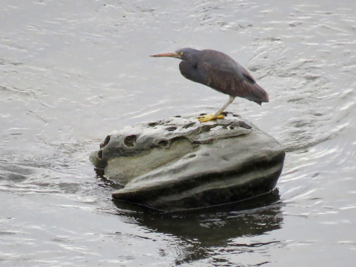 c0049299_22101420.jpg