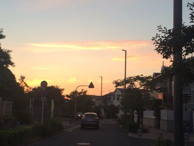 c0123400_12373925.jpg