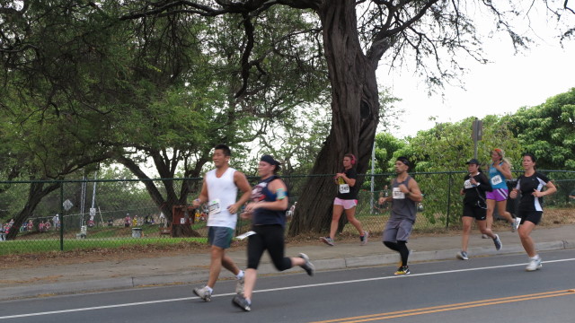 Hibiscus Half Marathon_f0293800_72380.jpg