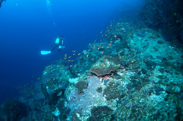 c0368903_23360184.jpg