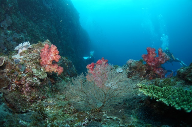 c0368903_23361087.jpg