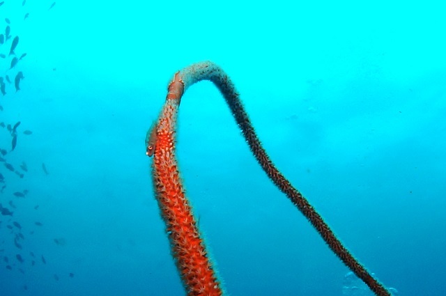 c0368903_23361863.jpg