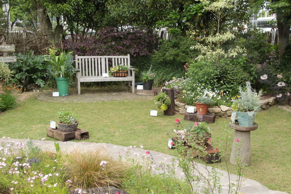 a0139007_1025338.jpg