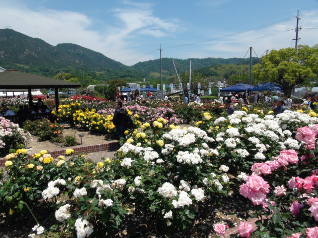 f0231709_04243.jpg