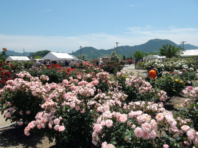 f0231709_05932.jpg