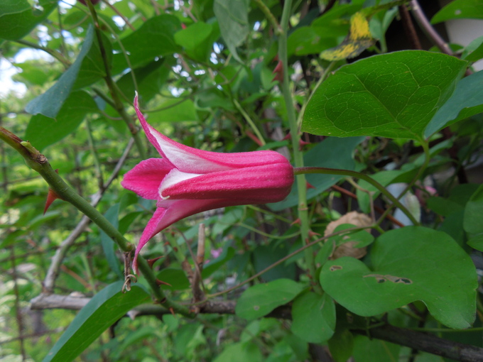 f0297809_2135201.jpg