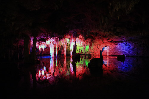 c0148812_747820.jpg
