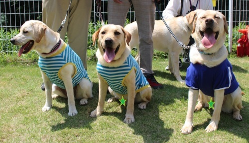 「年1回の犬舎さんの親睦会」　行ってきました！_c0338613_17553316.jpg