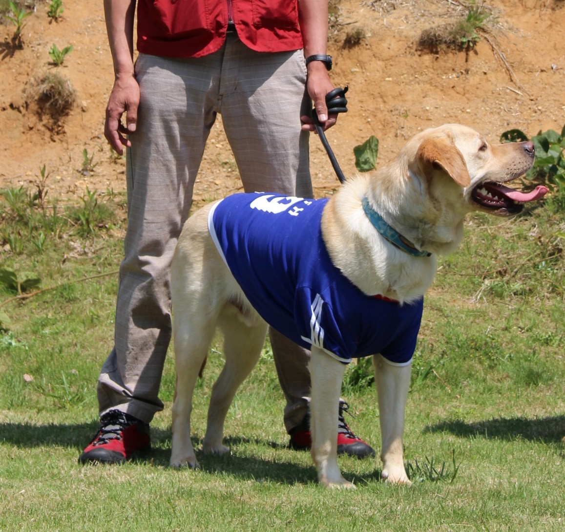 「年1回の犬舎さんの親睦会」　行ってきました！_c0338613_18003255.jpg