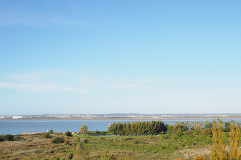 d0063314_1322145.jpg