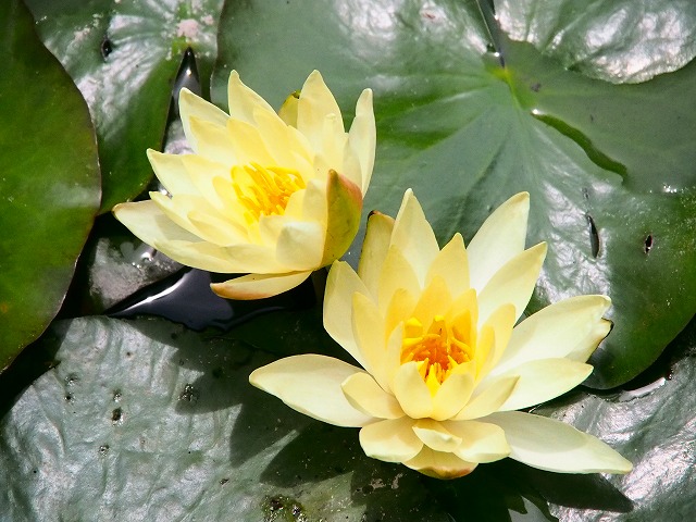 a0087818_16284672.jpg