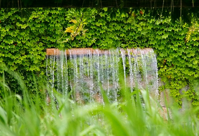 a0087818_16372938.jpg