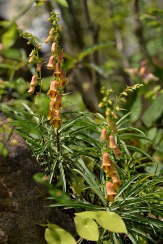 e0335926_13303742.jpg