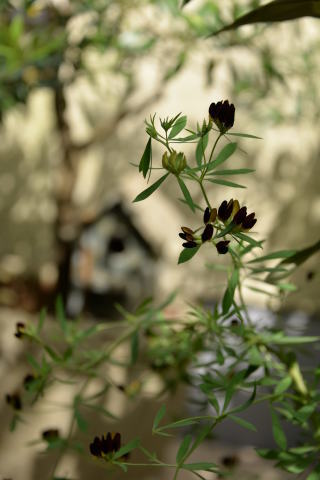 e0335926_14382113.jpg