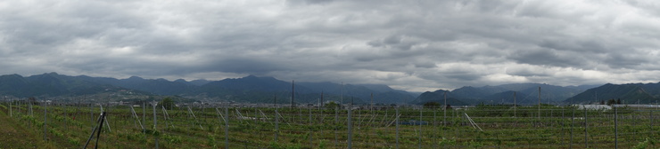 a0287336_184307.jpg