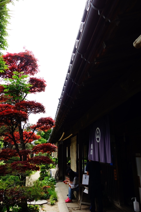 駆け足で巡る山梨県甲州市勝沼 その2～勝沼いろいろ_a0287336_18453912.jpg