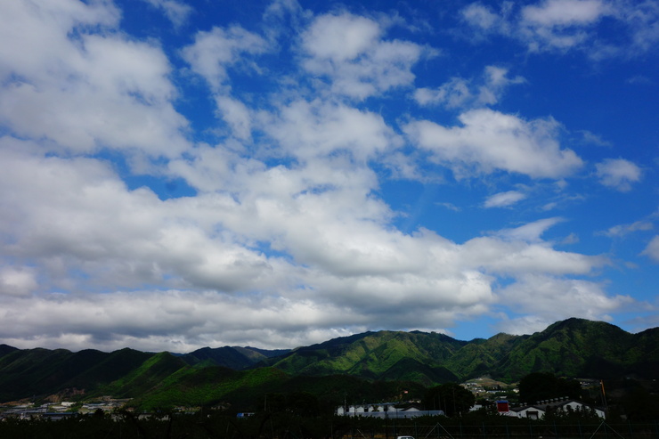 駆け足で巡る山梨県甲州市勝沼 その2～勝沼いろいろ_a0287336_18493940.jpg