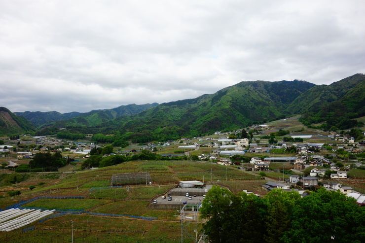 a0287336_20503337.jpg